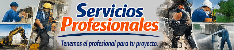 Servicios Profesionales